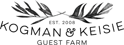 KK_logo